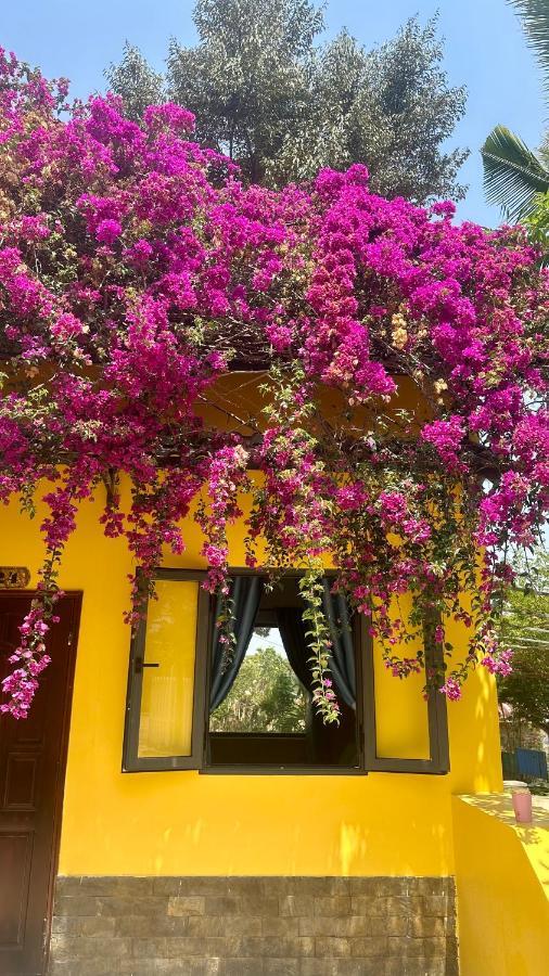 Bao Dien Guesthouse Bảo Lộc Kültér fotó